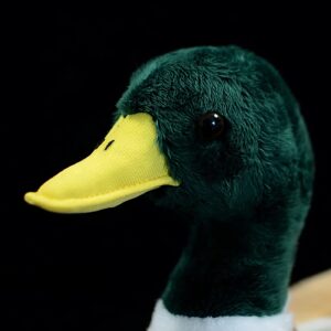 Nohito Kawaii Realistic Mallard Duck Plush Toy Stuffed Animal Lifelike Green Duck Plushie Pillow Doll Home Decoration 12.2" Long (Mallard Duck)