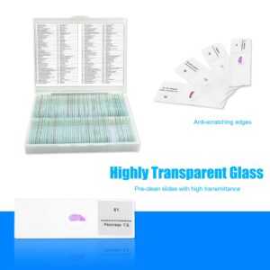 Microscope Slides, 100 Pcs Prepared Microscope Slides with Specimens for Kids Home School Class Learning