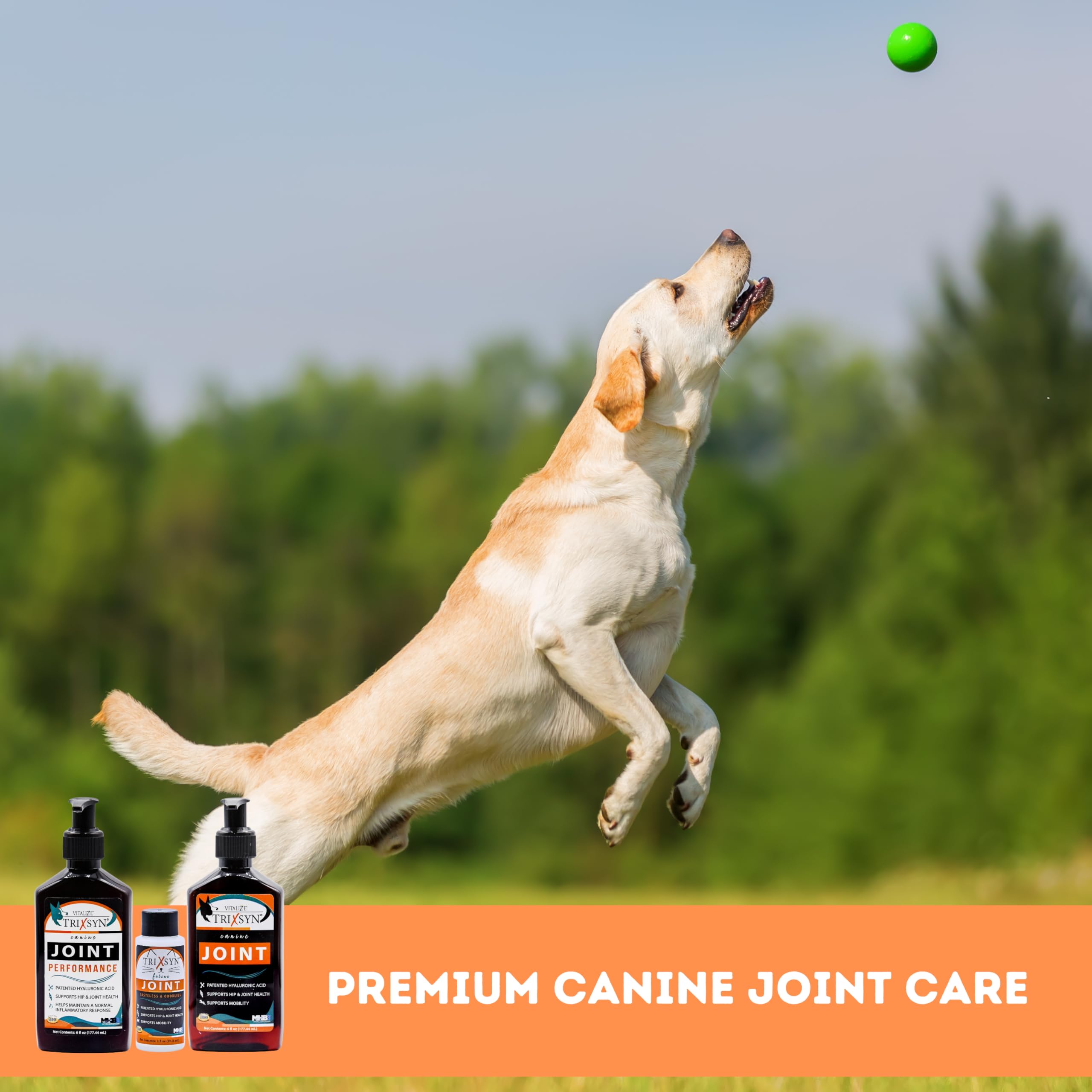 TRIXSYN Canine for Dogs - Hip and Joint Care - 6 fl oz, 3 Pack, 216 Day Supply