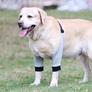 Yealay Dog Recovery Front Legs Sleeve Soft Padded Dog Elbow Brace Pet Leg Wounds Protector Dog Short Pants for Small Medium Dogs (L)