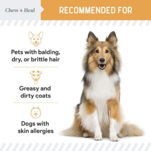 Salmon Oil for Dogs - 60 Soft Chew Omega Treats for Skin and Coat - Fish Oil Blend of Essential Fatty Acids, Omega 3 and 6, Vitamins, Antioxidants and Minerals - Made in USA