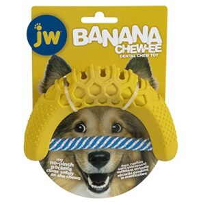 jw pet chew-ee dental dog chew toy; cleans your pet's teeth and gums as they play; add their favorite flavors, banana,yellow