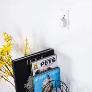 INSTACHEW PureConnect Heavy Duty App-Controlled Smart Plug with Timer Setting with Amazon Alexa Compatibility for Pet Products