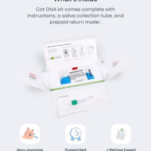 Basepaws Cat Dental Health Test | Provides Risk Scores for Dental Conditions: Periodontal Disease, Bad Breath, Tooth Resorption | Report Provides Personalized Health Care