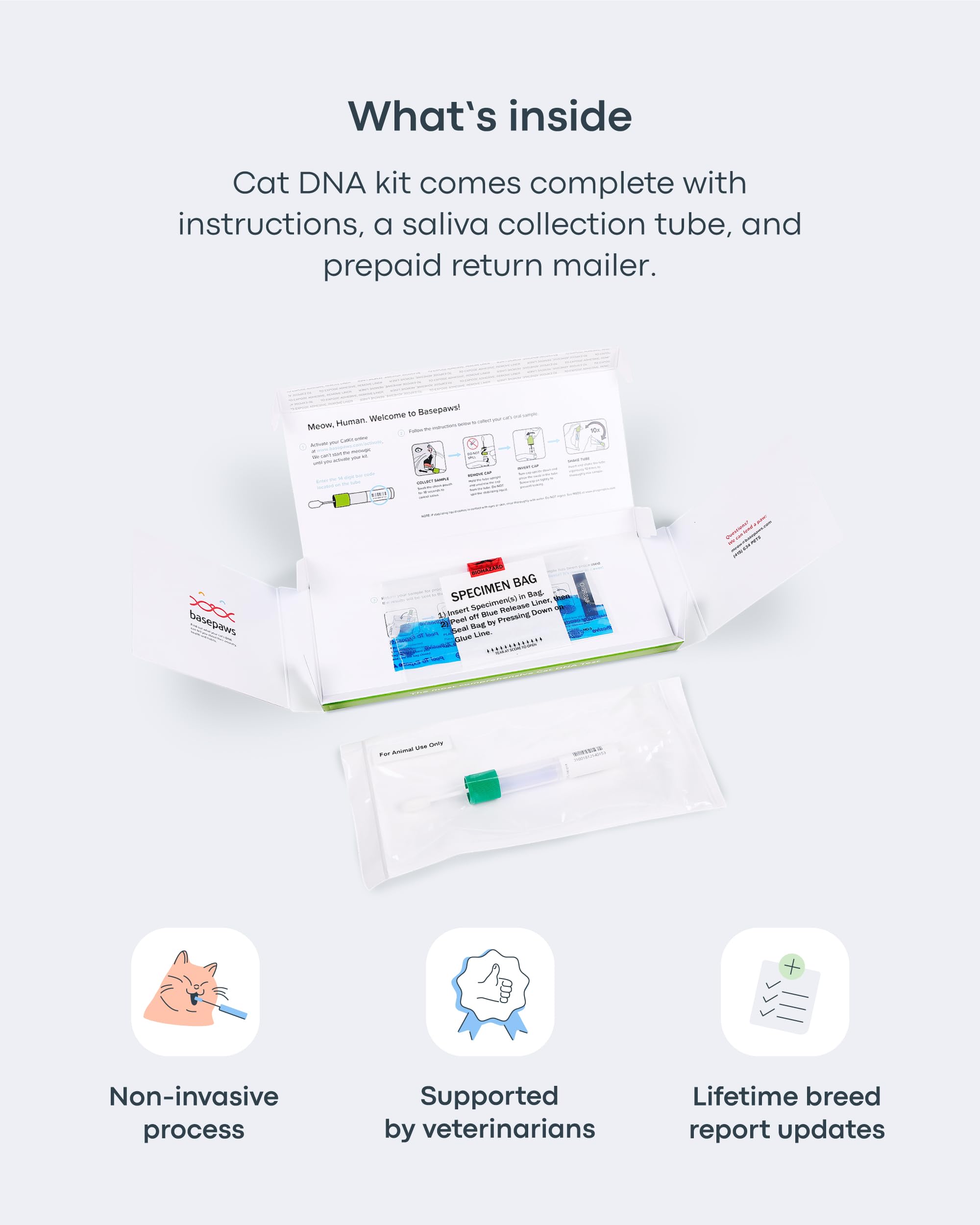 Basepaws Cat Dental Health Test | Provides Risk Scores for Dental Conditions: Periodontal Disease, Bad Breath, Tooth Resorption | Report Provides Personalized Health Care