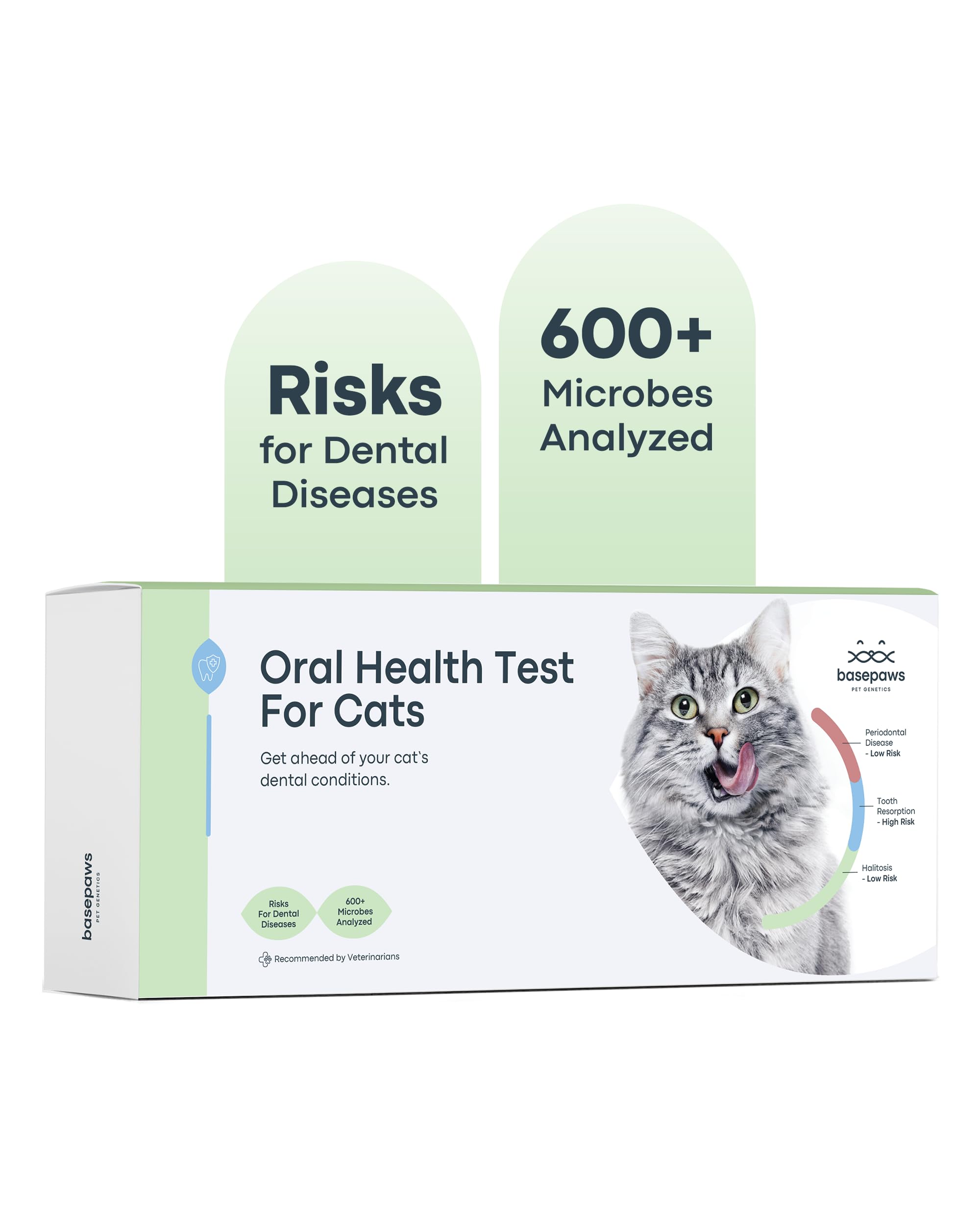 Basepaws Cat Dental Health Test | Provides Risk Scores for Dental Conditions: Periodontal Disease, Bad Breath, Tooth Resorption | Report Provides Personalized Health Care