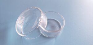 beyondsupply-lab glass petri dish clear borosillicate 30mm(1.18inch=1 3/16 ″) a set of 5