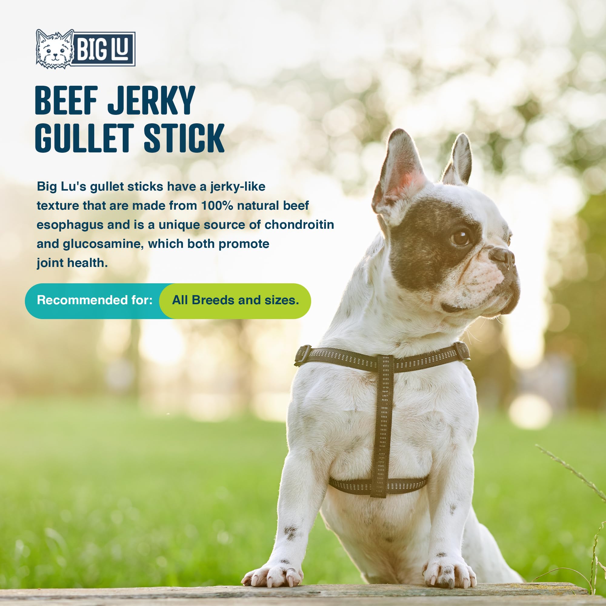 Big Lu - Jerky Gullet Stick Dog Chews, Premium 100% Beef, All-Natural Dog Treats, Rich in Glucosamine and Chondroitin for Joint Health, 6-Inch Sticks (12 Sticks)