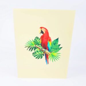 POP CARD EXPRESS Colorful Parrot Pop Up Birthday Card - Happy Birthday Pop Up Card for son, daughter, wife, friends, Nature, Wild Animal, Bird lovers (Colorful Parrot Pop Up Card)