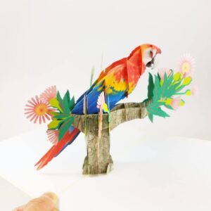 POP CARD EXPRESS Colorful Parrot Pop Up Birthday Card - Happy Birthday Pop Up Card for son, daughter, wife, friends, Nature, Wild Animal, Bird lovers (Colorful Parrot Pop Up Card)