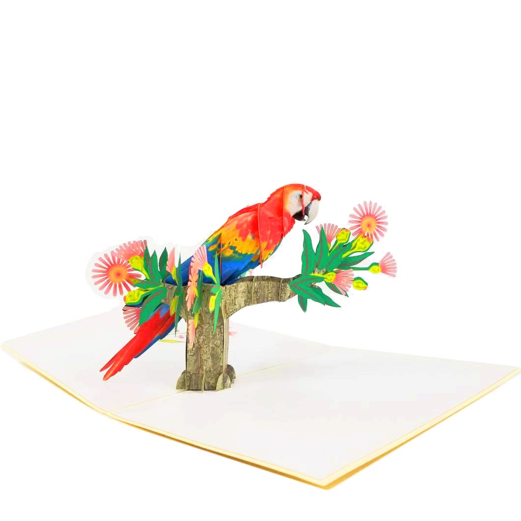 POP CARD EXPRESS Colorful Parrot Pop Up Birthday Card - Happy Birthday Pop Up Card for son, daughter, wife, friends, Nature, Wild Animal, Bird lovers (Colorful Parrot Pop Up Card)