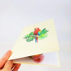 POP CARD EXPRESS Colorful Parrot Pop Up Birthday Card - Happy Birthday Pop Up Card for son, daughter, wife, friends, Nature, Wild Animal, Bird lovers (Colorful Parrot Pop Up Card)