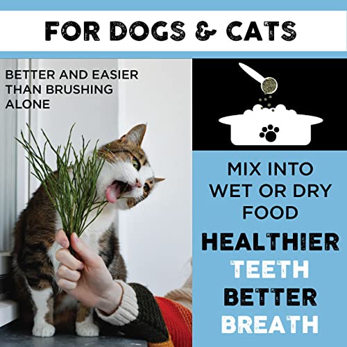 Nature's Diet Nature's Toothbrush Icelandic Seaweed Whole Flakes Oral Health Breath and Build-up Control Daily Meal Topper for Dogs & Cats