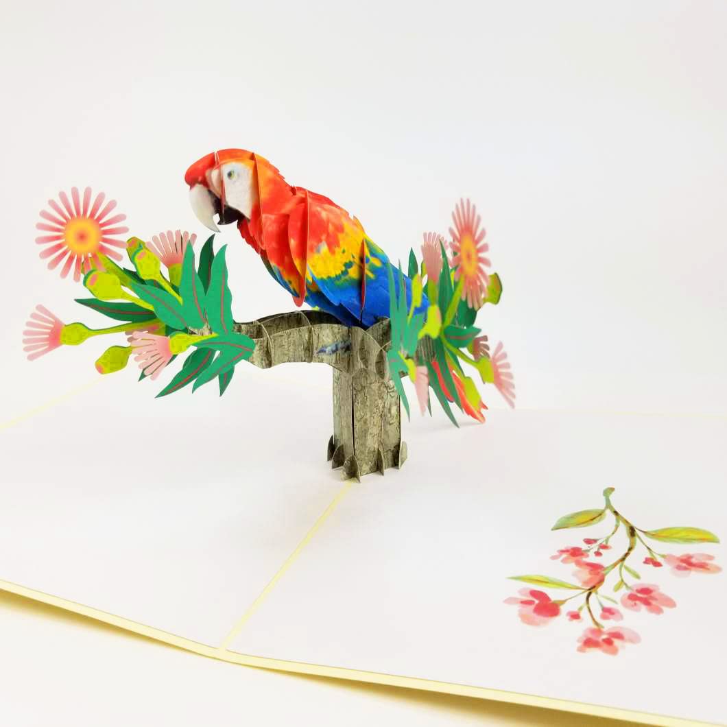 POP CARD EXPRESS Colorful Parrot Pop Up Birthday Card - Happy Birthday Pop Up Card for son, daughter, wife, friends, Nature, Wild Animal, Bird lovers (Colorful Parrot Pop Up Card)