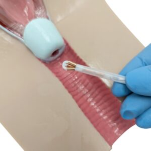 Anatomy Lab IUD Insertion Model I