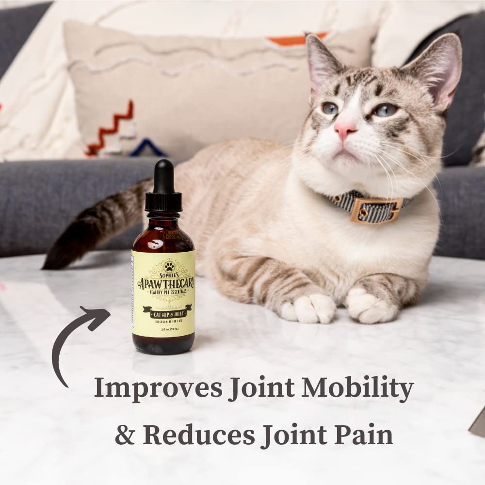 Sophie's Apawthecary Cat Hip and Joint Glucosamine Liquid Supplement 2 oz for Pain Relief and Improved Joint Flexibility