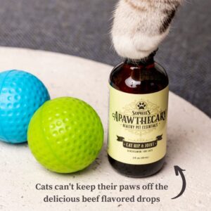 Sophie's Apawthecary Cat Hip and Joint Glucosamine Liquid Supplement 2 oz for Pain Relief and Improved Joint Flexibility