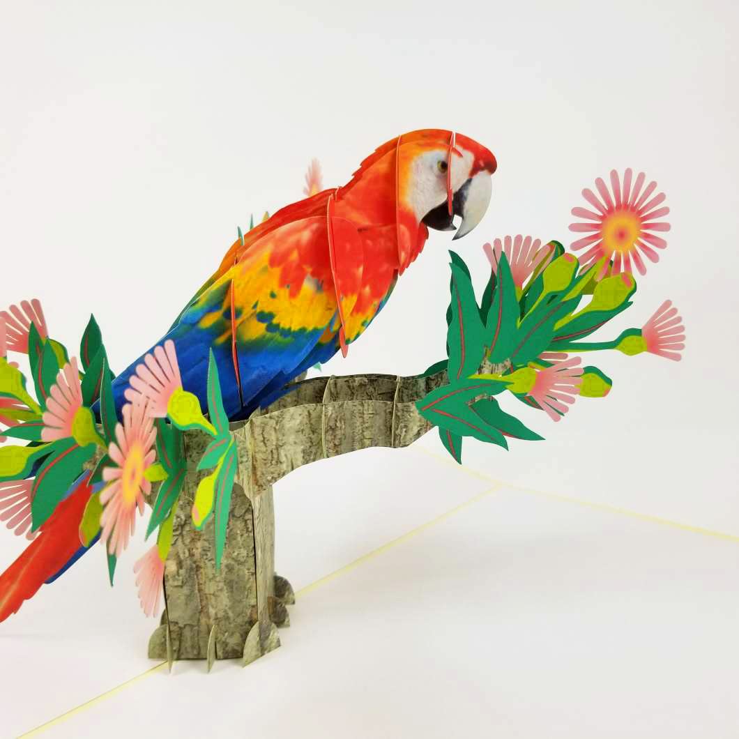 POP CARD EXPRESS Colorful Parrot Pop Up Birthday Card - Happy Birthday Pop Up Card for son, daughter, wife, friends, Nature, Wild Animal, Bird lovers (Colorful Parrot Pop Up Card)