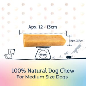 Himalayan Dog Chews Long Lasting - Mixed Fruits Yak Cheese Dental Chews for Dogs | Supports Digestion | Promotes Immunity | Healthy Dog Treats for Medium Dogs (6.8oz, Pack of 3)