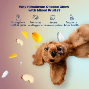 Himalayan Dog Chews Long Lasting - Mixed Fruits Yak Cheese Dental Chews for Dogs | Supports Digestion | Promotes Immunity | Healthy Dog Treats for Medium Dogs (6.8oz, Pack of 3)