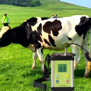 通用 Digital Remote Thermometer for Big Animals, Horse Thermometer, Cows Thermometer, pet Thermometer for Horse, Cows