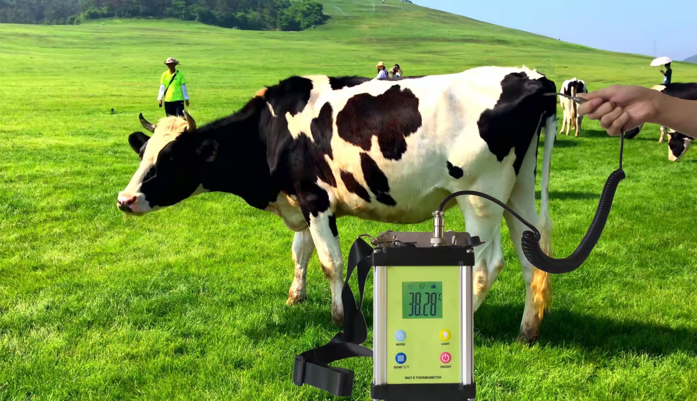 通用 Digital Remote Thermometer for Big Animals, Horse Thermometer, Cows Thermometer, pet Thermometer for Horse, Cows