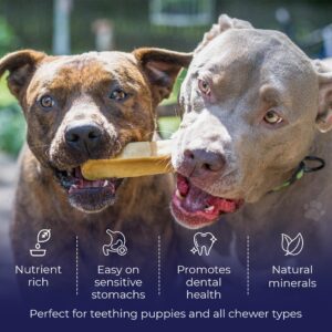 Devil Dog Pet Co. Himalayan Yak Chews, Yak Cheese Dog Chews, 100% Natural & Healthy, Lactose Free, Long Lasting, Yak Chew Treats – Premium Yak Milk Dog Chew, Yak Bones for Dogs | Monster - 3 Pack