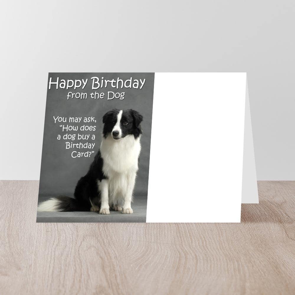 CafePress Border Collie Birthday Card Folded Greeting Card Glossy