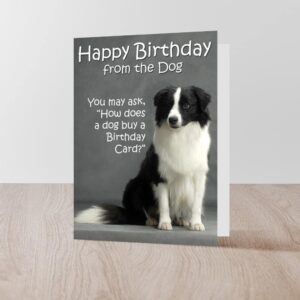 CafePress Border Collie Birthday Card Folded Greeting Card Glossy