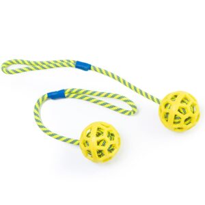 BlueHomy Dog Rope Toys Training Ball -On Rubber, Toy with Handle, Exercise and Reward for Dogs Chew,Dog Pull Toy- Throw - Tug Fetch , Gifts Set of 2, DTB1001YEL-2X, Yellow