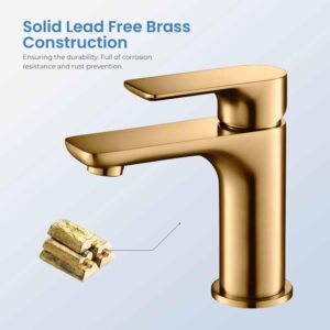 KIBI Single Handle Tender Faucet for Bathroom Sink with Pop Up Drain | Solid Brass High Arc Faucet Spout (Chrome) (KBF1019)