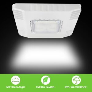 LED Canopy Gas Station Light, 150W 21000LM Surface Mount LED Carport Ceiling Light 5700K (600W HID/HPS Equivalent), 100-277V IP65 DLC & UL Listed