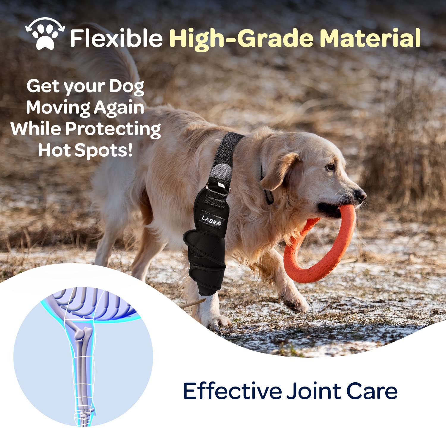 Labra Dog Canine K9 Shoulder Elbow Callus Pain Relief Brace - Hot Spot Hygroma Hotspot Wound Chewing Protector Wrap For Arthritis, Sprained, Injured Joints Vet Approved - Large, Right Leg