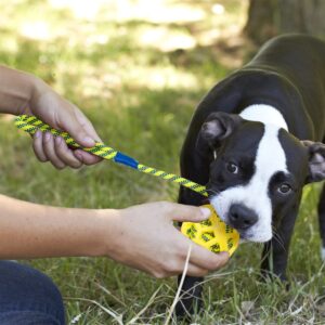 BlueHomy Dog Rope Toys Training Ball -On Rubber, Toy with Handle, Exercise and Reward for Dogs Chew,Dog Pull Toy- Throw - Tug Fetch , Gifts Set of 2, DTB1001YEL-2X, Yellow