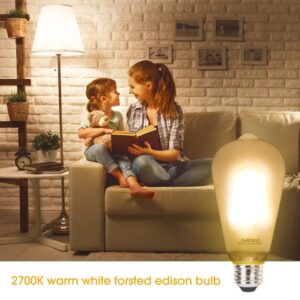 ASOKO ST64 Frosted LED Edison Vintage Light Bulbs, 6W Equivalent 60W 2700K Warm White, Dimmable LED Edison Bulb Antique LED Filament Bulbs 4 Packs