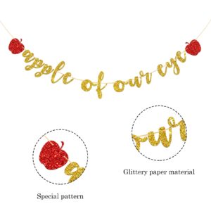 Apple of Our Eye Banner, Fruit Theme Baby 1st Birthday, Baby Shower, Boys Girls Fruit Party Decorations Supplies, Gold Glitter