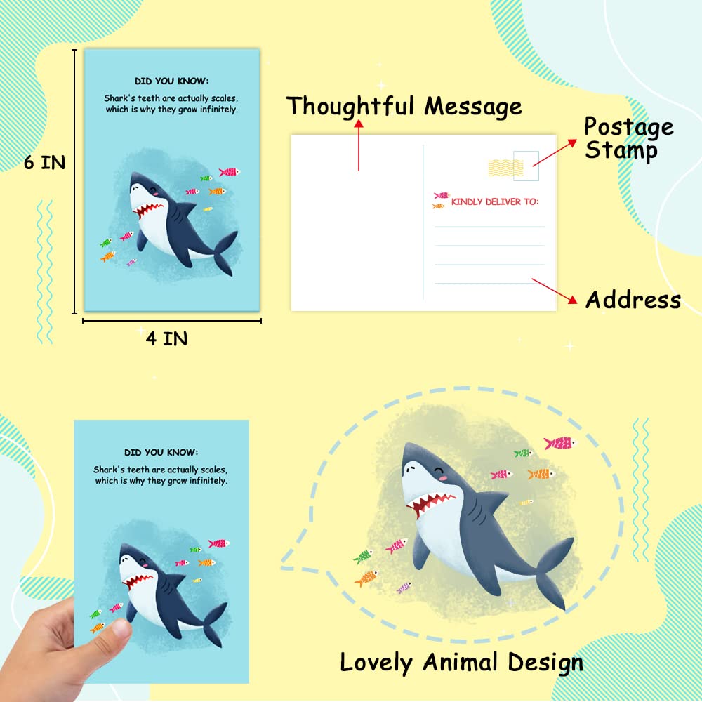 40 Pack Animal Fun Fact Postcards for Kids 4” x 6” Animal Greeting Cards Animal Knowledge Cards Animal Thank Note Cards Funny Cards Pack for Students, Friends and more