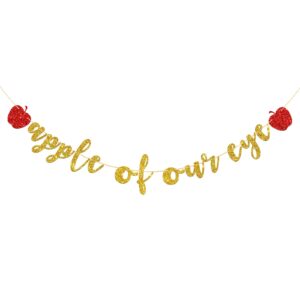 apple of our eye banner, fruit theme baby 1st birthday, baby shower, boys girls fruit party decorations supplies, gold glitter