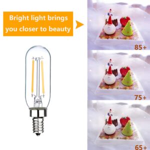 Sunaiony E12 Candelabra Bulb 25W T6 LED Bulb Dimmable 3000K Soft White, 2W Vintage LED Filament Edison Candle Bulb for Chandelier Ceiling Light, 12 Pack