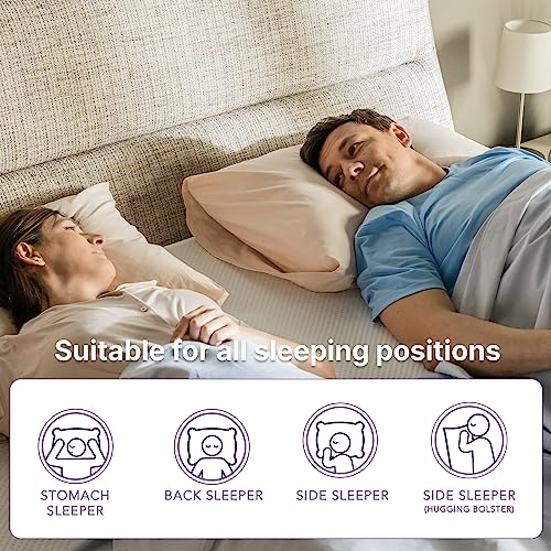 NapQueen 8 Inch Twin-XL Size Mattress, Bamboo Charcoal Memory Foam Mattress, Bed in a Box, White