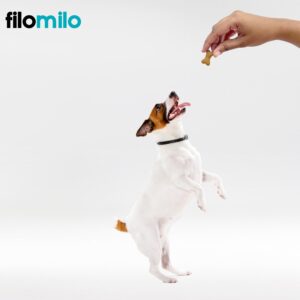 filomilo – Real Chicken Biscuits (Treats) with Ayurvedic Brahmi Powder for All Type of Dogs_17.63 OZ (500 Grams - Chicken Flavour)