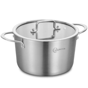 lolykitch tri-ply 3 quarts stainless steel induction cooking pot,small stock pot,sauce pot with lid,dishwasher and oven safe.