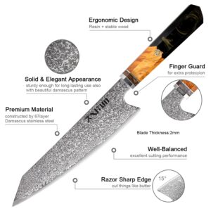 XT XITUO Kiritsuke Chef Knife,8 inch kitchen Knives Japanese VG10 Steel Damascus Kitchen Meat Sushi Cutting Cleaver Knife w/octagon Black Resin handle Gift Box… (Black-8'' Kiritsuke Knife)