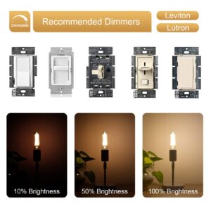 Dimmable 2W Tubular LED Bulbs, 2700K Warm White, Edison Style Filament Light Bulb, Vintage T10 Lamp Bulb 25 Watt Equivalent, E26 Medium Base 200LM,Clear Glass Cover,3Pack