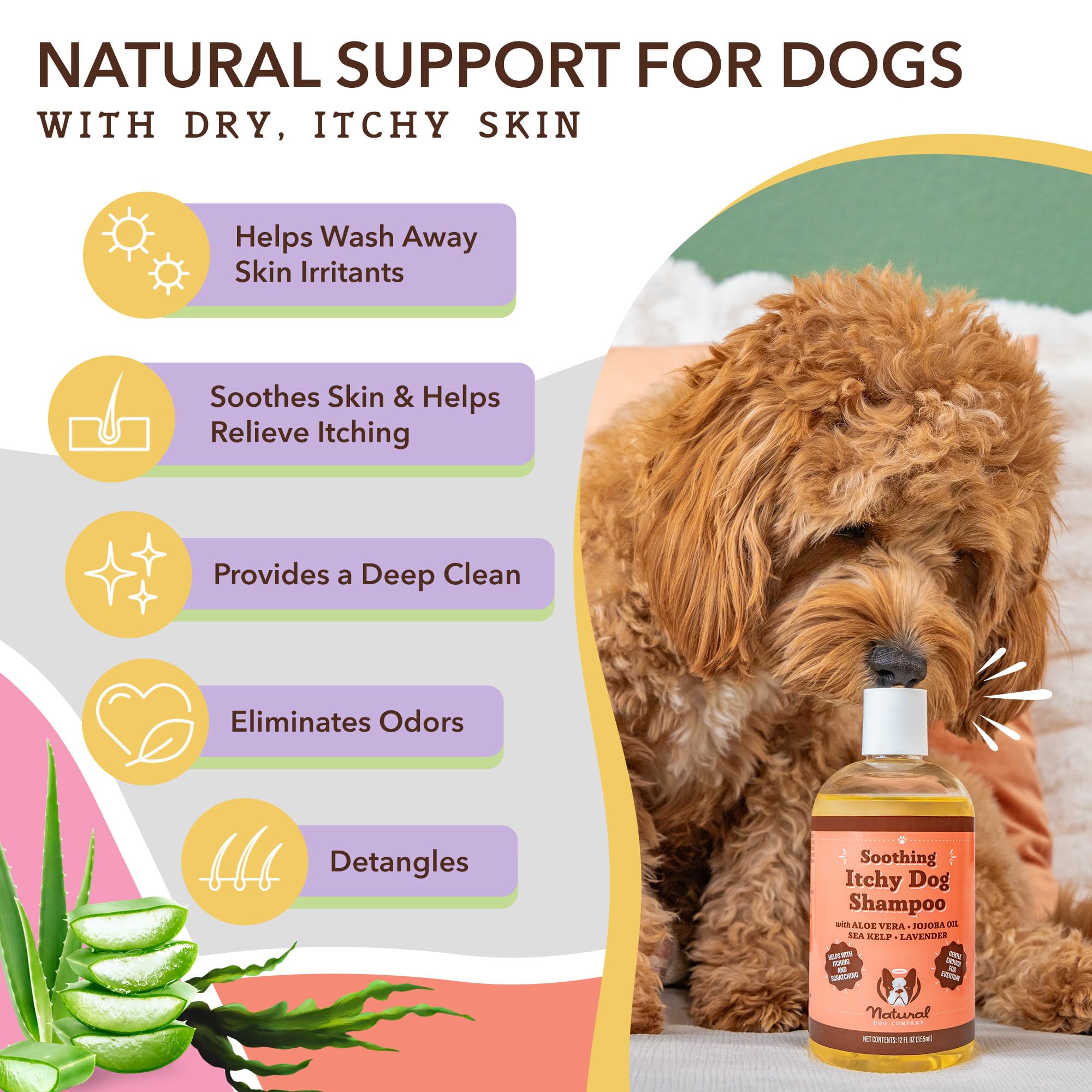 Natural Dog Company Itchy Dog Shampoo (12 oz) Bundle with Wild Alaskan Salmon Oil (16 oz) | Hypoallergenic Shampoo and Sensitive Skin Supplement | Soothing Relief for Recurring Skin Conditions