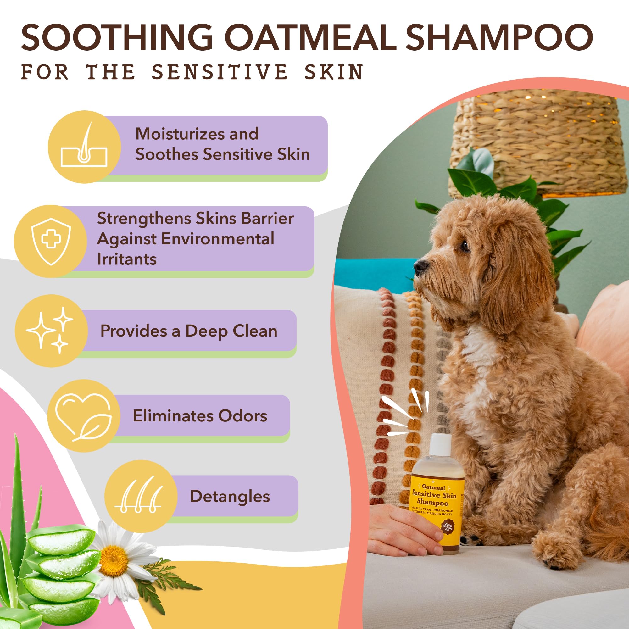 Natural Dog Company Skin & Coat Chews (90-pcs) Bundle with Sensitive Skin Oatmeal Shampoo (12 oz) | Daily Supplement with Sensitive Skin Shampoo | Gentle Cleaning for Healthier Skin and Coats