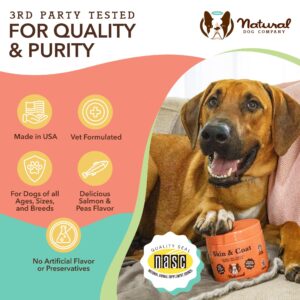 Natural Dog Company Skin & Coat Chews (90-pcs) Bundle with Sensitive Skin Oatmeal Shampoo (12 oz) | Daily Supplement with Sensitive Skin Shampoo | Gentle Cleaning for Healthier Skin and Coats