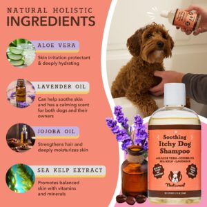 Natural Dog Company Itchy Dog Shampoo (12 oz) Bundle with Wild Alaskan Salmon Oil (16 oz) | Hypoallergenic Shampoo and Sensitive Skin Supplement | Soothing Relief for Recurring Skin Conditions