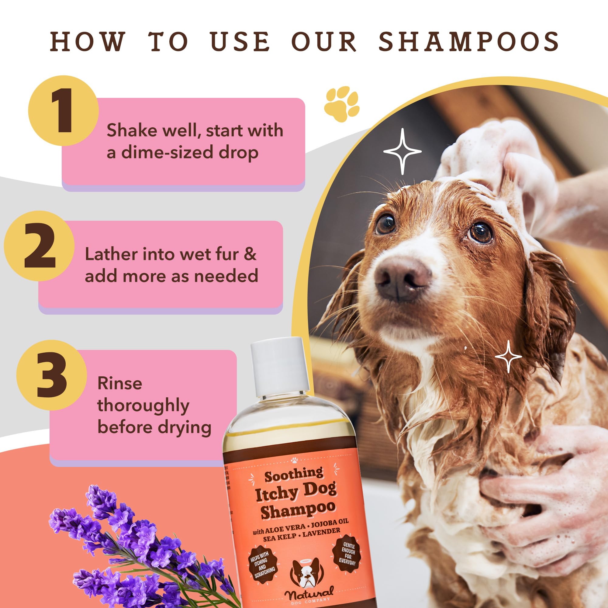 Natural Dog Company Itchy Dog Shampoo (12 oz) Bundle with Wild Alaskan Salmon Oil (16 oz) | Hypoallergenic Shampoo and Sensitive Skin Supplement | Soothing Relief for Recurring Skin Conditions