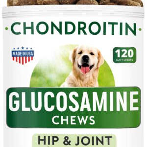 Dog Probiotics Chews + Glucosamine Bundle - Gas, Diarrhea, Allergy, Constipation, Upset Stomach Relief + Hip & Joint Care - Digestive Enzymes + Prebiotics + Chondroitin, MSM, Omega-3 - 300 Soft Chews